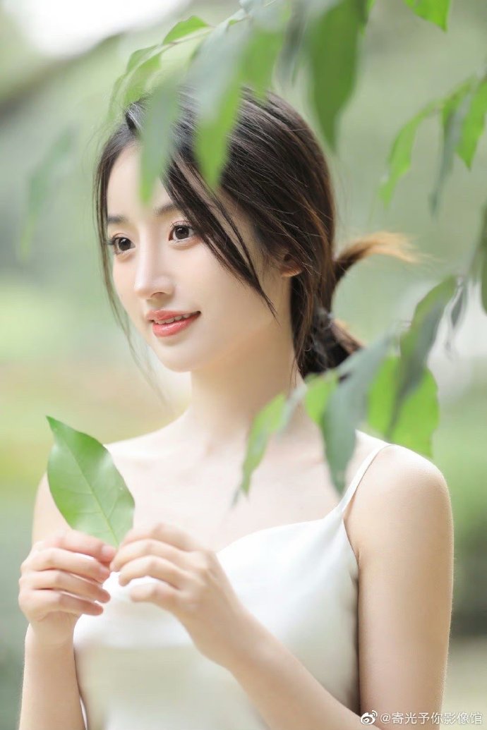 春天影视网